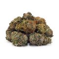 Buy Pink Gas AA at Supreme Dispensary