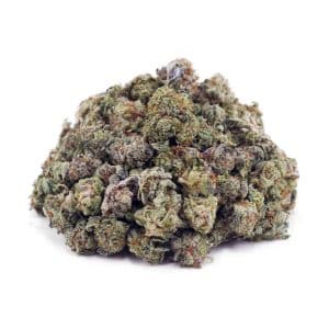 Buy Chocolope AAAA - (Popcorn Buds) at Supreme Dispensary