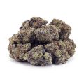 Buy Birthday Cake Kush AA at Supreme Dispensary