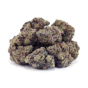 Buy Birthday Cake Kush AA at Supreme Dispensary