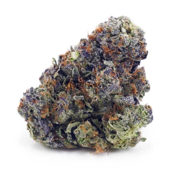 Buy Rainbow Bomb AA at Supreme Dispensary Buy Rainbow Bomb AA at Supreme Dispensary