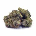 Buy Rainbow Bomb AA at Supreme Dispensary
