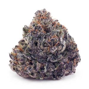 Buy Black Widow AAAA at Supreme Dispensary