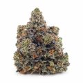 Buy Pink Ice Cream Cake (Craft Cannabis) at Supreme Dispensary