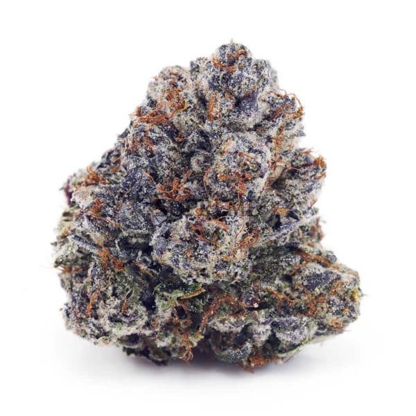 Buy Tom Ford Pink Kush (Craft Cannabis) at Supreme Dispensary Buy Tom Ford Pink Kush (Craft Cannabis) at Supreme Dispensary