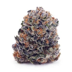 Buy Mataro Blue AAA at Supreme Dispensary