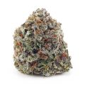 Buy Laughing Buddha (Craft Cannabis) at Supreme Dispensary