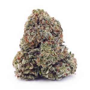 Buy Island Sweet Skunk AA at Supreme Dispensary