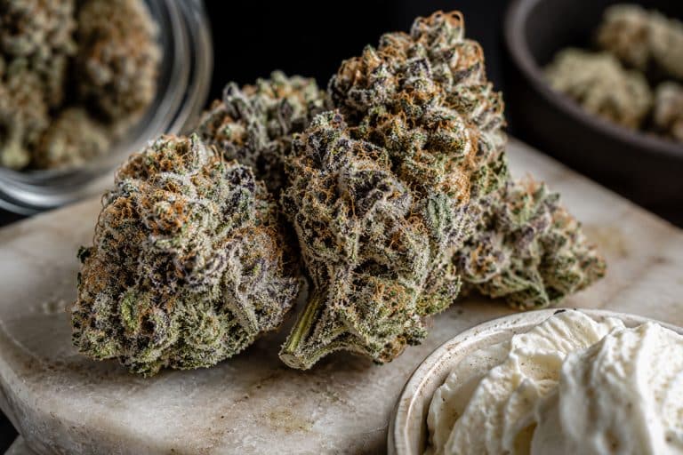 Ice Cream Cake Strain: A Sweet and Powerful Cannabis Favorite for Relaxation
