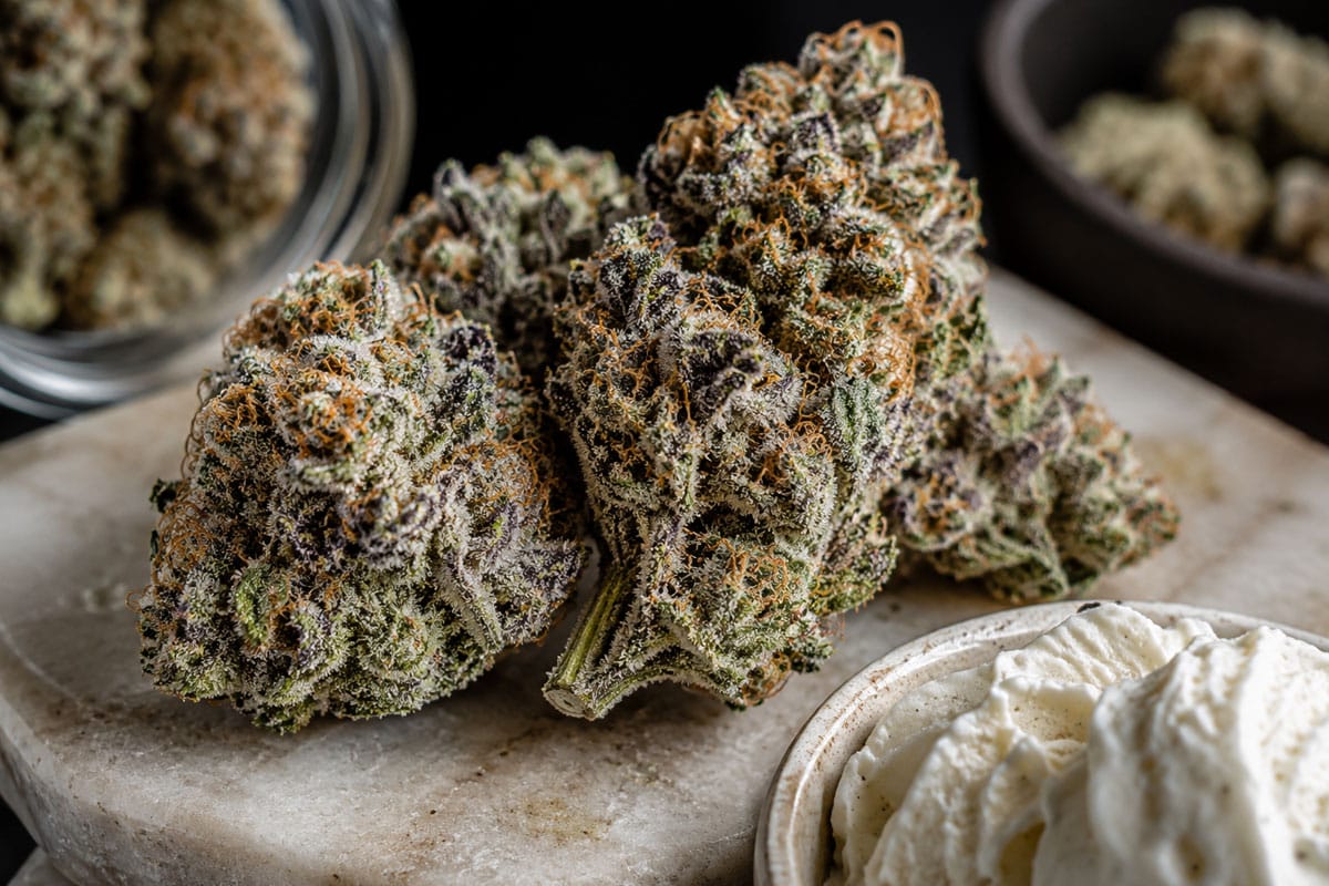 Ice Cream Cake Strain A Sweet and Powerful Cannabis Favorite for Relaxation