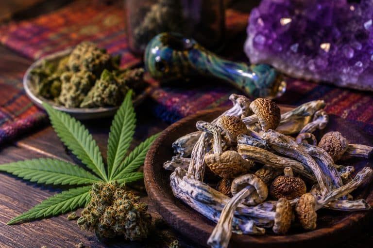 Weed and Magic Mushrooms: The Perfect Pair or Too Much?