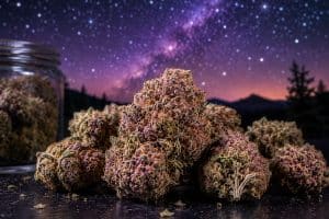 Why Pink Rockstar Cannabis Continues to Dominate the Indica Scene