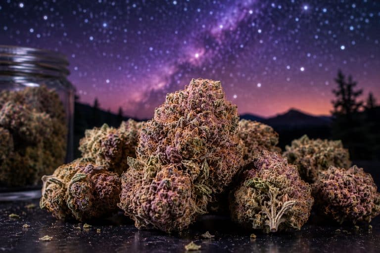 Why Pink Rockstar Cannabis Continues to Dominate the Indica Scene