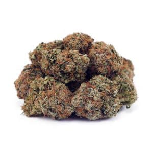 Buy Tuna Kush AAA at Supreme Dispensary