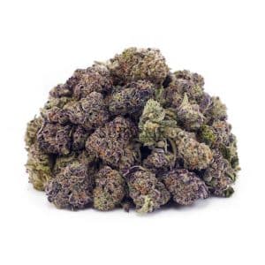 Buy AK - 47 AAAA - (Popcorn Buds) at Supreme Dispensary
