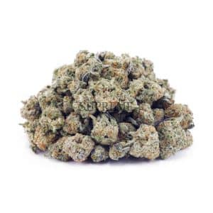 Buy Russian Cream AAAA - (Popcorn Buds) at Supreme Dispensary