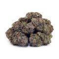 Buy Vintage Gas (Craft Cannabis) at Supreme Dispensary
