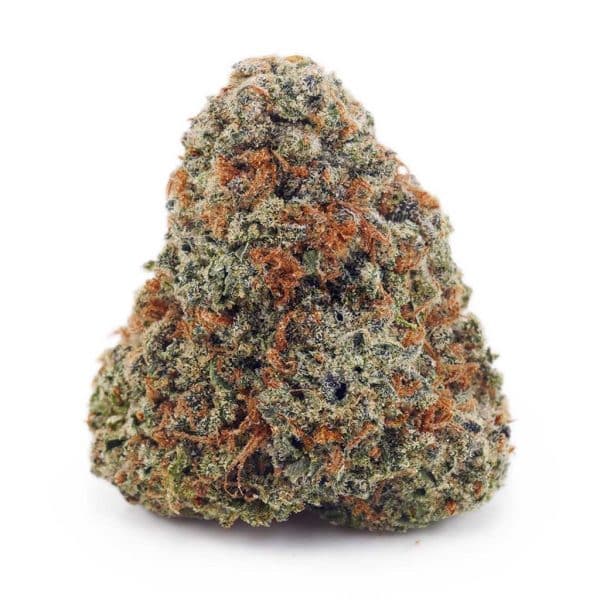 Buy Fruit Loopz AAAA at Supreme Dispensary Buy Fruit Loopz AAAA at Supreme Dispensary