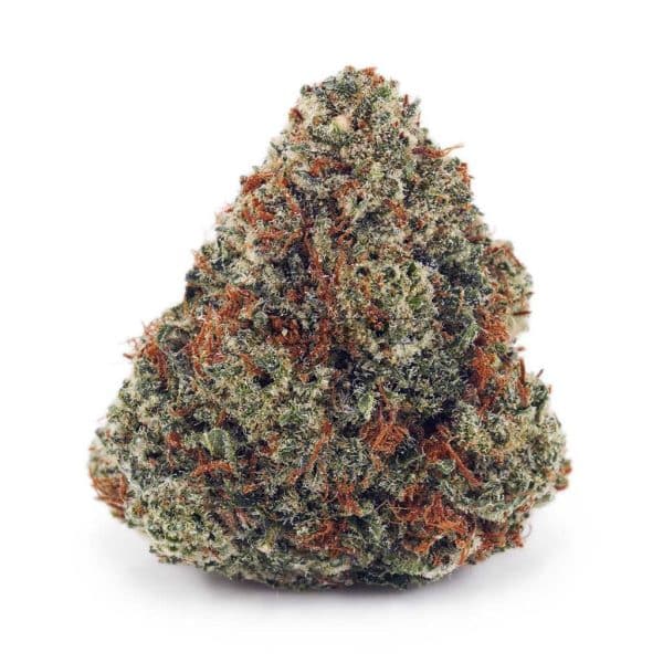 Buy Blueberry Cough AAAA at Supreme Dispensary Buy Blueberry Cough AAAA at Supreme Dispensary