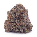 Buy Tropicana Punch AA at Supreme Dispensary