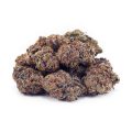 Buy Tropicana Punch AA at Supreme Dispensary