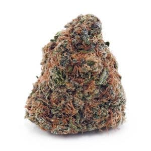 Buy Astro Cookies AA at Supreme Dispensary