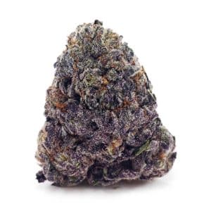 Buy Tangerine Dream AAAA at Supreme Dispensary