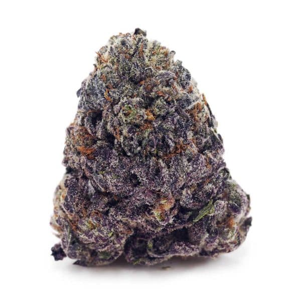 Buy Tangerine Dream AAAA at Supreme Dispensary Buy Tangerine Dream AAAA at Supreme Dispensary