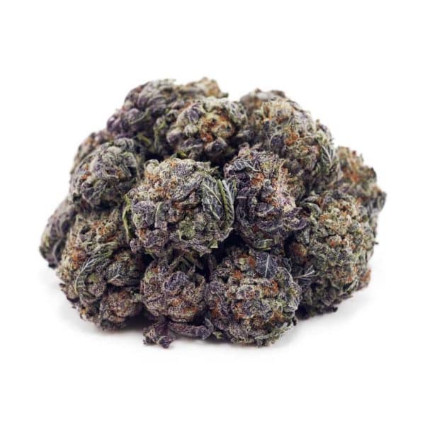 Buy Tangerine Dream AAAA at Supreme Dispensary Buy Tangerine Dream AAAA at Supreme Dispensary