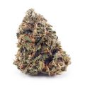 Buy King Tut AA at Supreme Dispensary