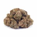 Buy King Tut AA at Supreme Dispensary