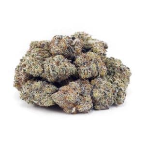 Buy Blueberry Cheesecake AAAA at Supreme Dispensary