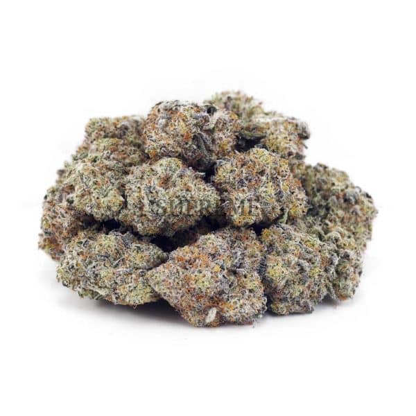 Buy Blueberry Cheesecake AAAA at Supreme Dispensary