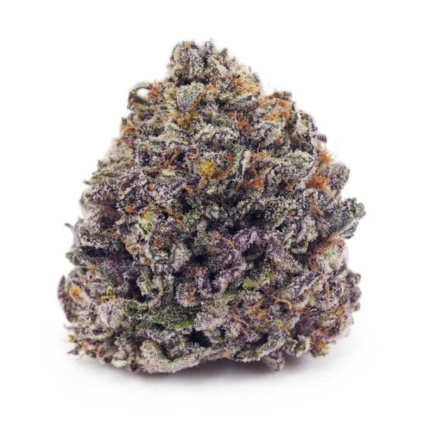 Buy Grease Monkey AAAA at Supreme Dispensary Buy Grease Monkey AAAA at Supreme Dispensary