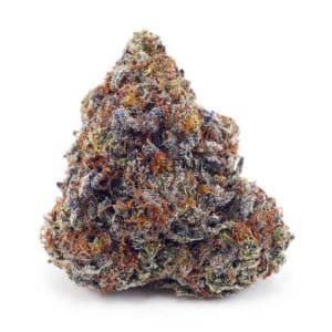 Buy Blueberry Stomper AAAA at Supreme Dispensary