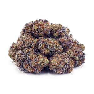 Buy Blueberry Stomper AAAA at Supreme Dispensary Buy Blueberry Stomper AAAA at Supreme Dispensary