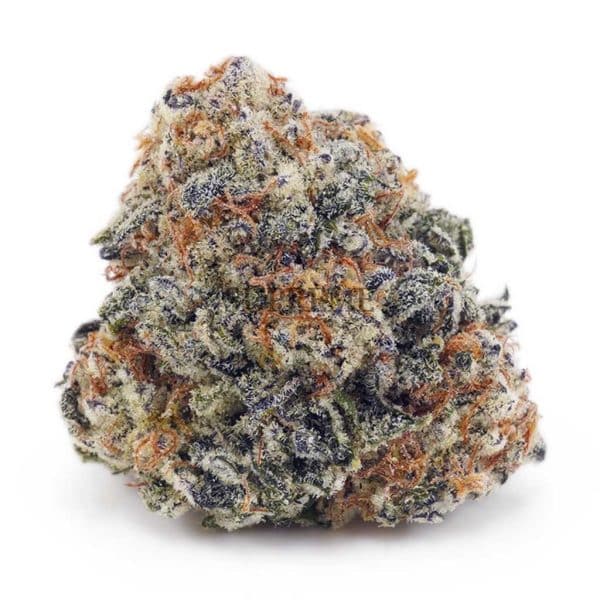 Buy Crazy Glue AAA at Supreme Dispensary Buy Crazy Glue AAA at Supreme Dispensary