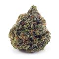 Buy Rock Tuna AAA at Supreme Dispensary