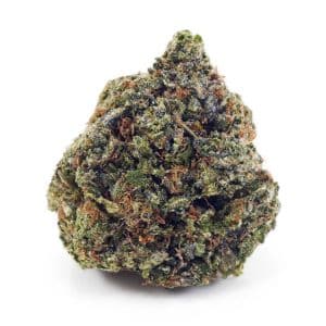 Buy Rock Tuna AAA at Supreme Dispensary