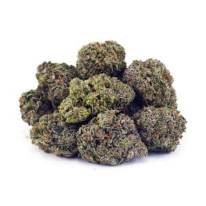 Buy Rock Tuna AAA at Supreme Dispensary