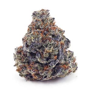 Buy Amnesia OG AAA at Supreme Dispensary
