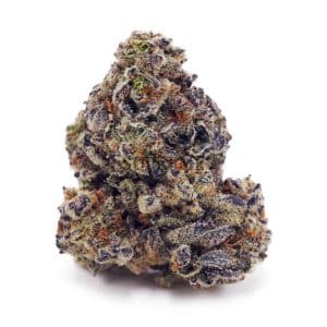 Buy Greasy Pink AA at Supreme Dispensary