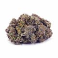 Buy Greasy Pink AA at Supreme Dispensary
