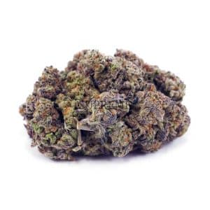 Buy Greasy Pink AA at Supreme Dispensary Buy Greasy Pink AA at Supreme Dispensary