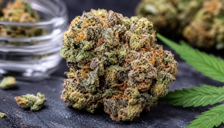 Ice Wreck Cannabis: An In-Depth Look at This Frost-Covered Favorite