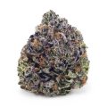 Buy Amnesia Haze AA at Supreme Dispensary
