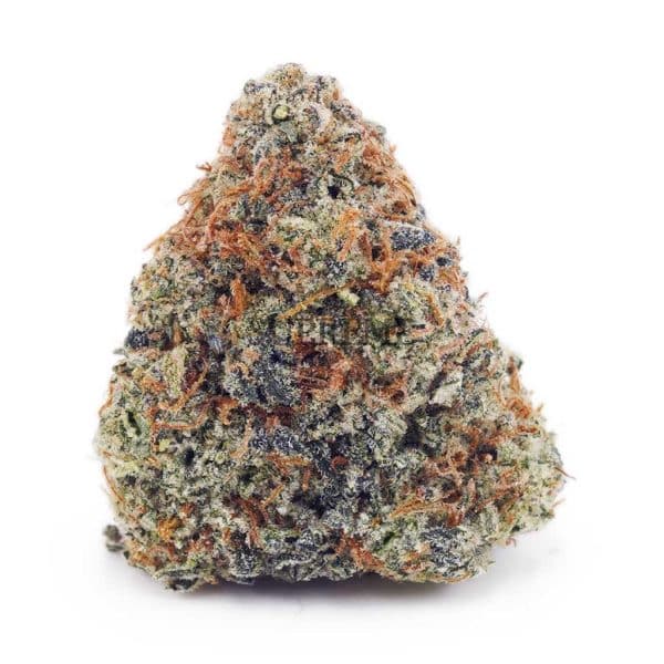 Buy Critical Kush AA at Supreme Dispensary Buy Critical Kush AA at Supreme Dispensary