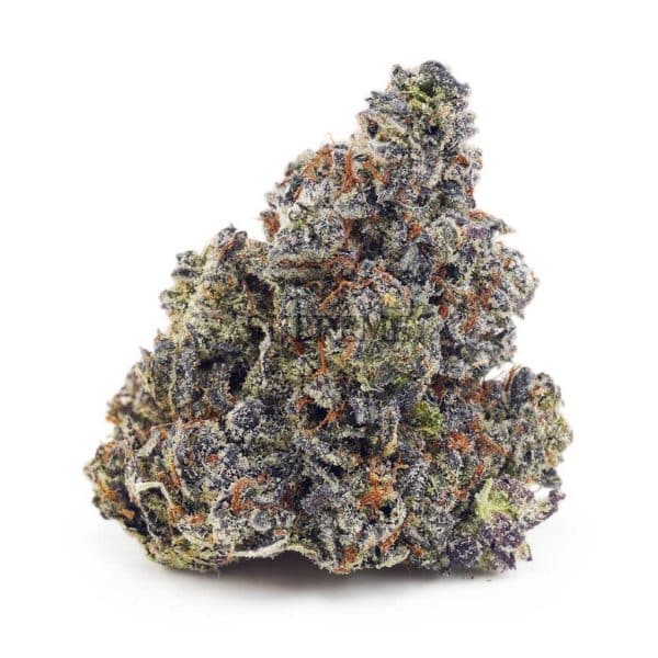 Buy Khalifa kush AAAA at Supreme Dispensary