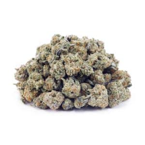 Buy Jungle Mintz AAAA - (Popcorn Buds) at Supreme Dispensary