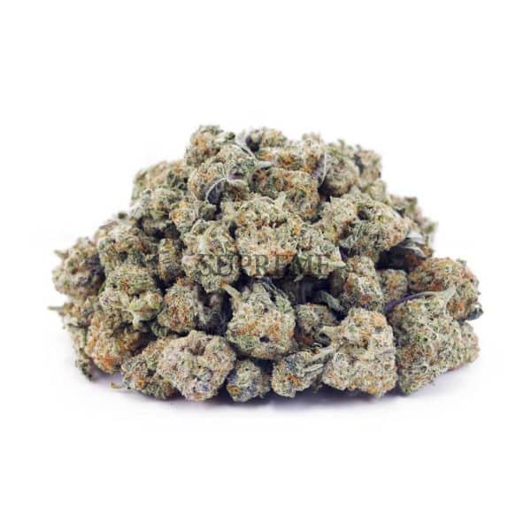 Buy Jungle Mintz AAAA - (Popcorn Buds) at Supreme Dispensary Buy Jungle Mintz AAAA - (Popcorn Buds) at Supreme Dispensary